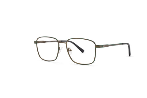 Willensstark – Braun-Grün