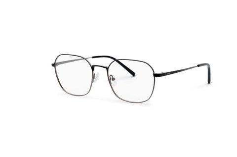 Weltenbummler - Schwarz-Silber